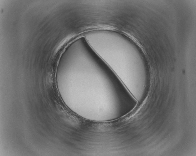 X0000076241163200609280915