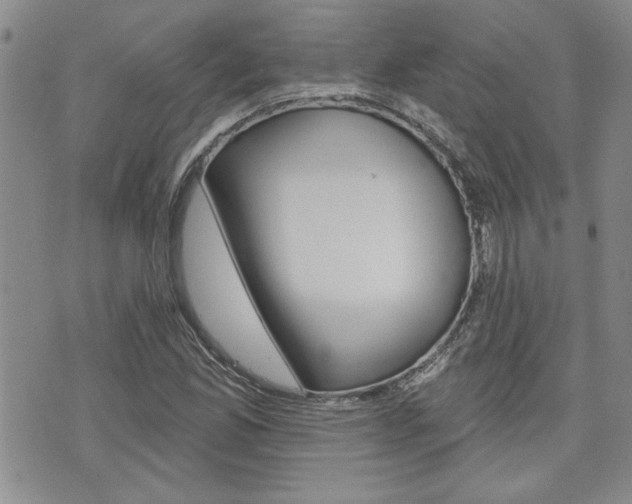 X0000076241165200609280915