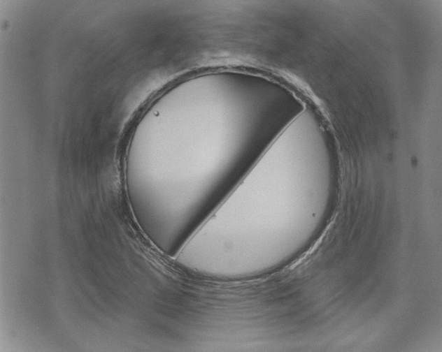 X0000076241167200609280915