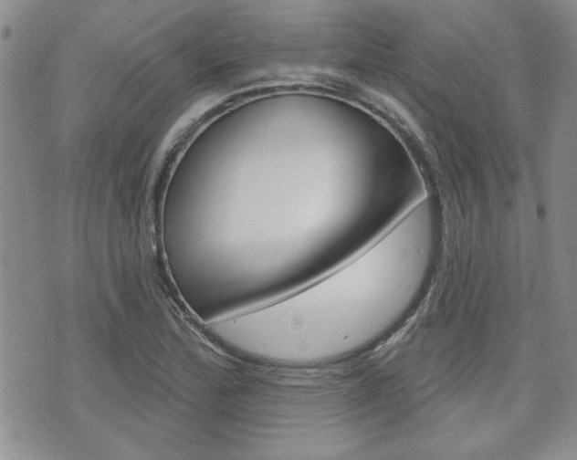 X0000076241172200609280915