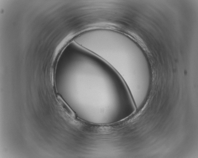 X0000076241180200609280915