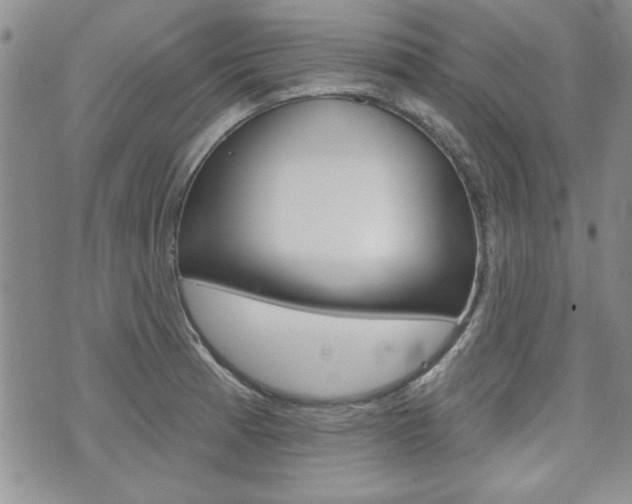 X0000076241185200609280915