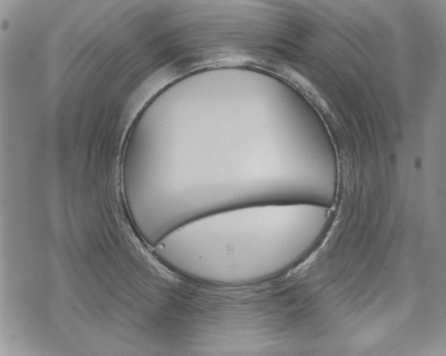 X0000076241186200609280915