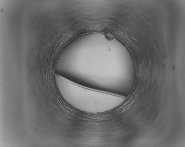 X0000076241201200609280914