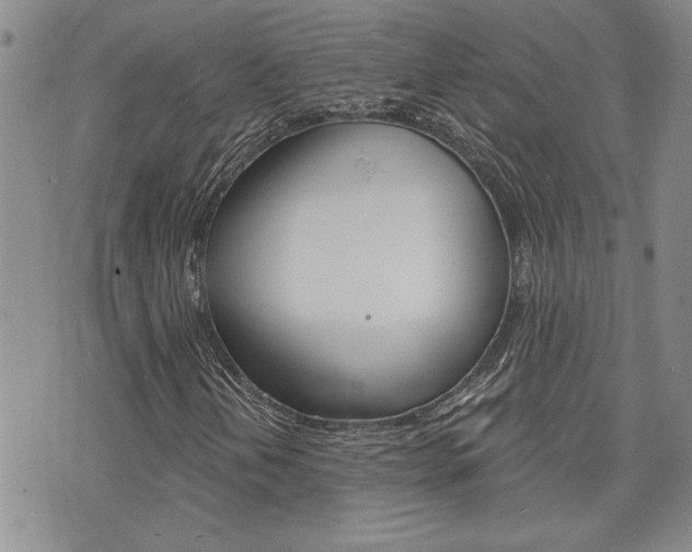 X0000076241202200609280914