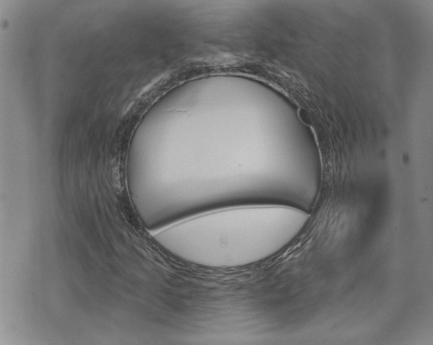 X0000076241205200609280914