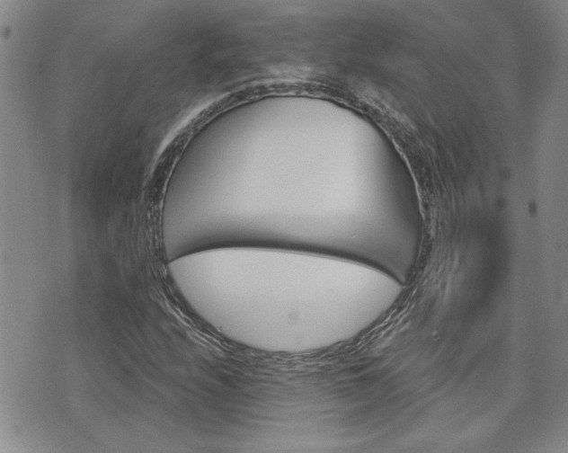 X0000076241208200609280914