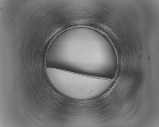 X0000076241209200609280914