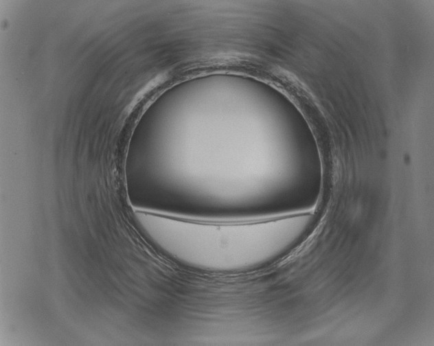 X0000076241210200609280914