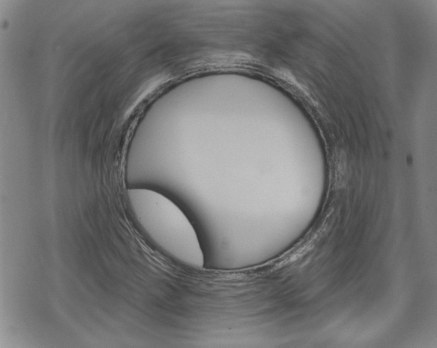 X0000076241211200609280914