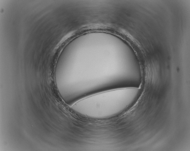 X0000076241213200609280914