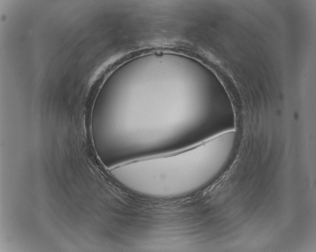X0000076241214200609280914