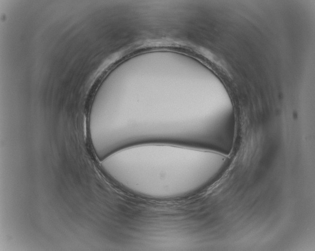 X0000076241221200609280914