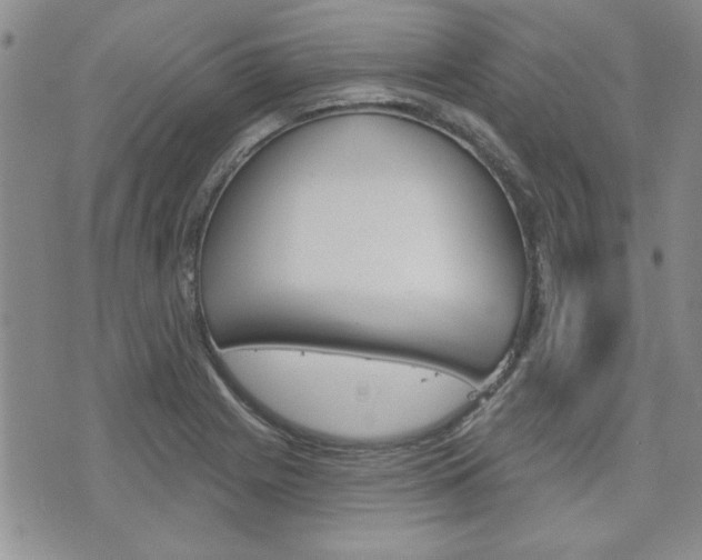 X0000076241225200609280914