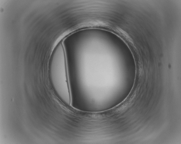 X0000076241226200609280914