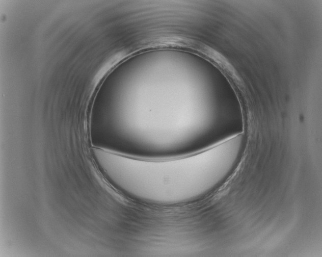 X0000076241234200609280914