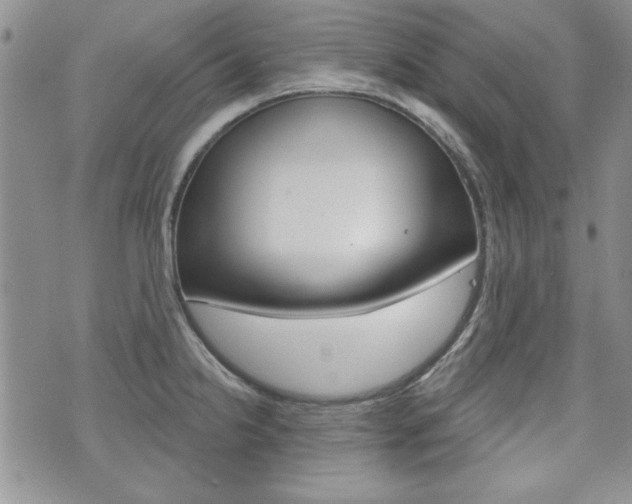 X0000076241238200609280914
