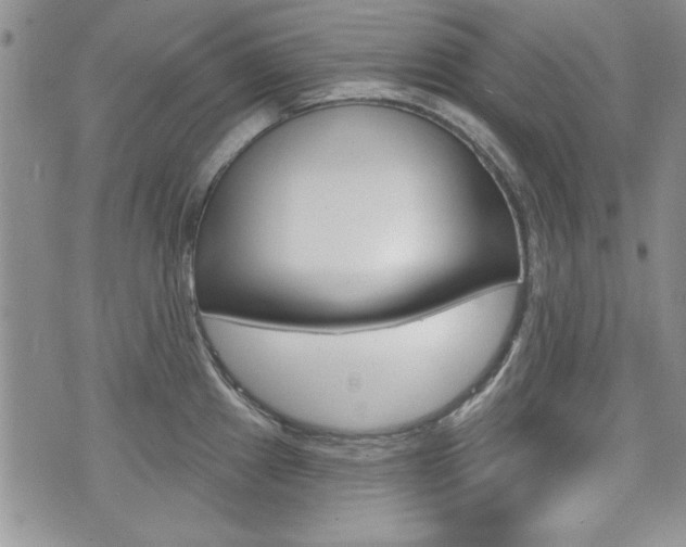 X0000076241241200609280914