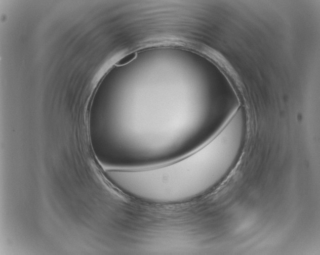 X0000076241242200609280914