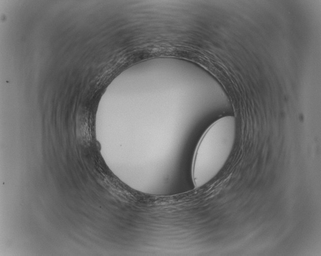 X0000076241250200609280914