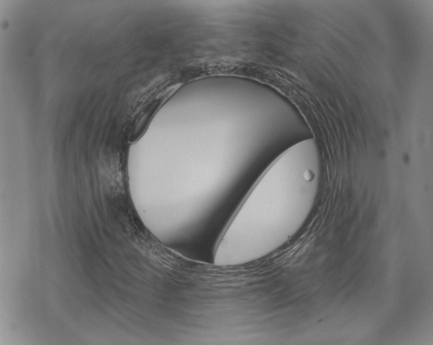 X0000076241252200609280914