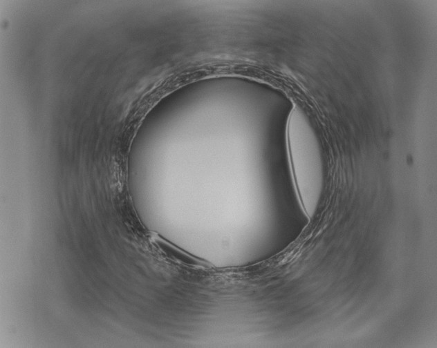 X0000076241253200609280914
