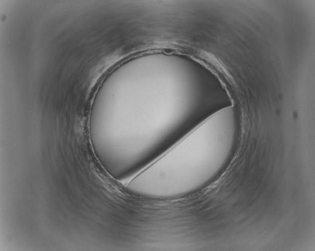X0000076241260200609280914