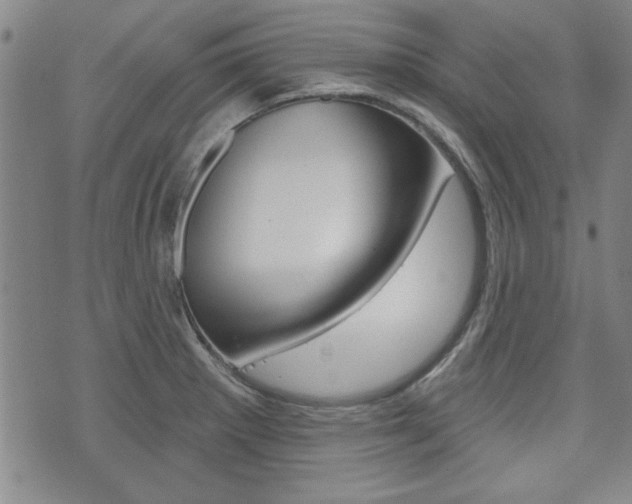 X0000076241281200609280913