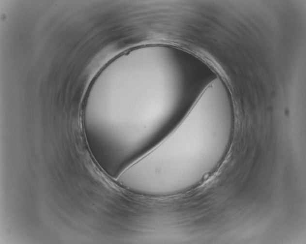 X0000076241292200609280913