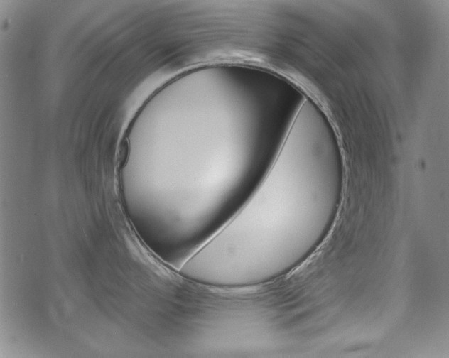 X0000076241296200609280913
