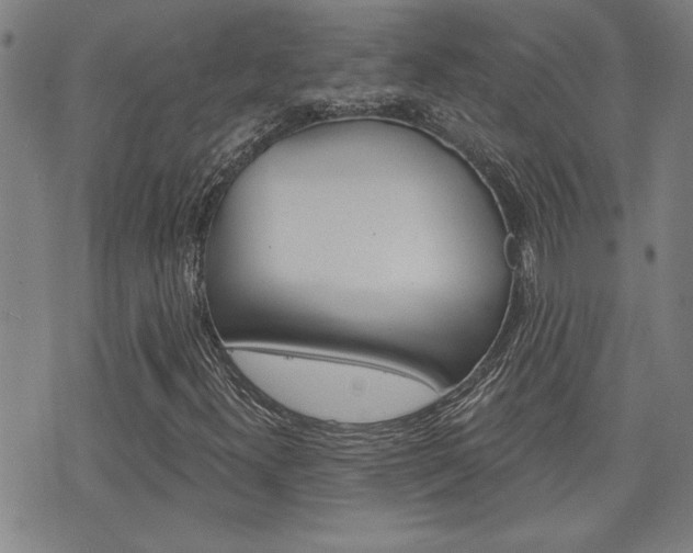 X0000076241300200609280912