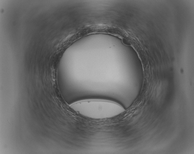 X0000076241301200609280912