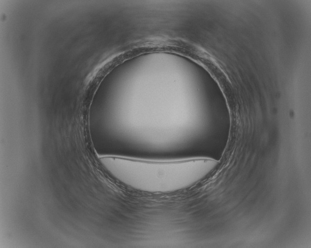 X0000076241304200609280912