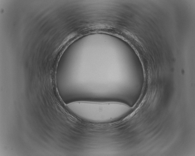 X0000076241305200609280912