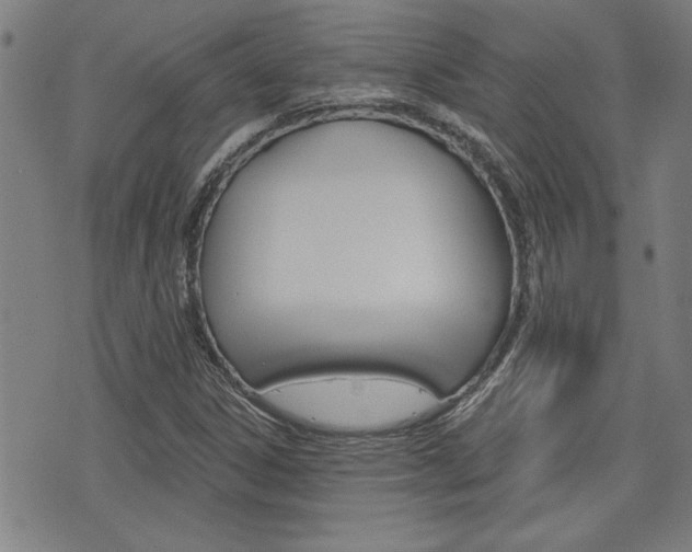 X0000076241306200609280912