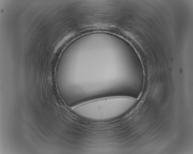 X0000076241307200609280912