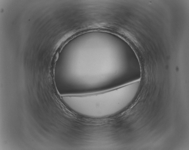 X0000076241308200609280912