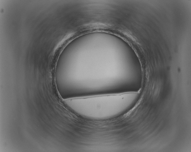 X0000076241309200609280912