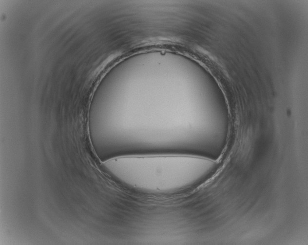 X0000076241313200609280913
