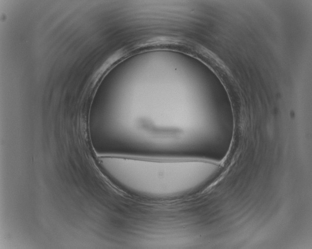 X0000076241321200609280913