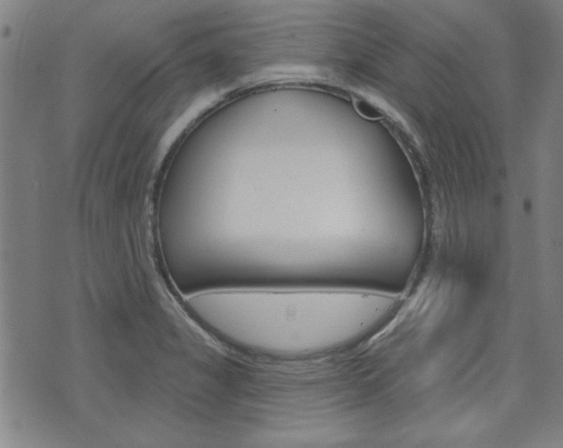 X0000076241325200609280913