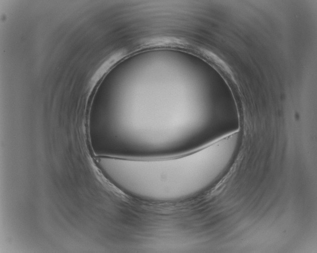X0000076241330200609280913