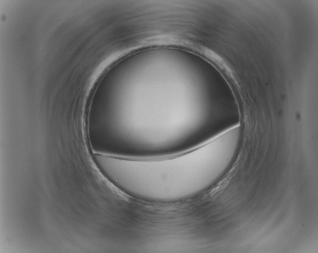 X0000076241334200609280913
