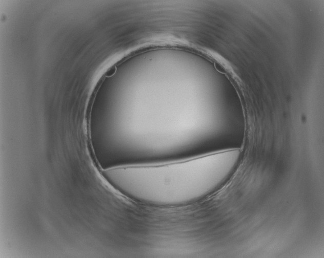 X0000076241335200609280913