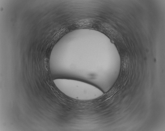 X0000076241346200609280912