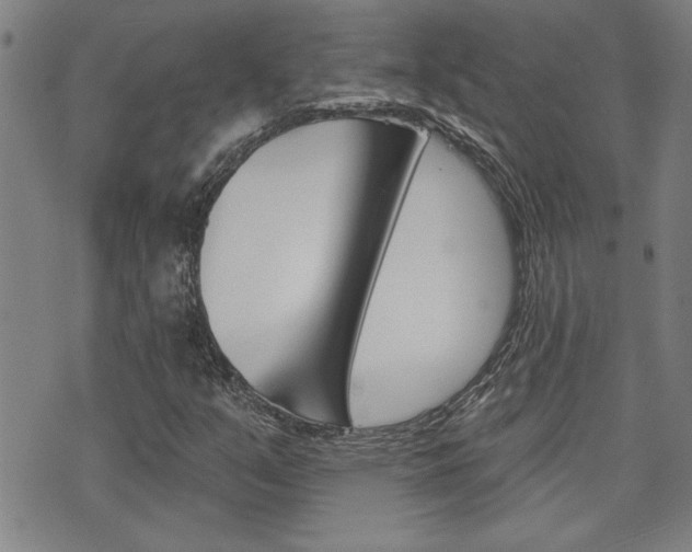 X0000076241351200609280912