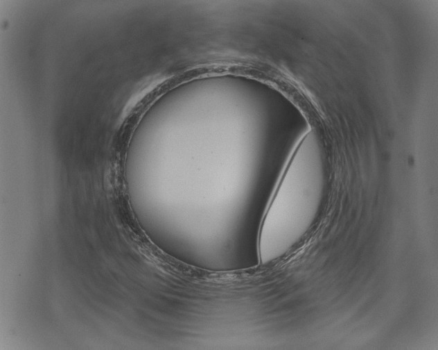 X0000076241352200609280912