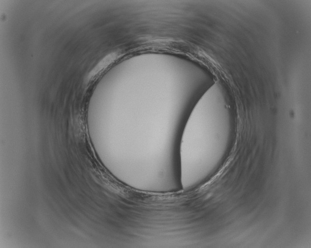 X0000076241354200609280912