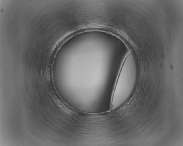 X0000076241356200609280912