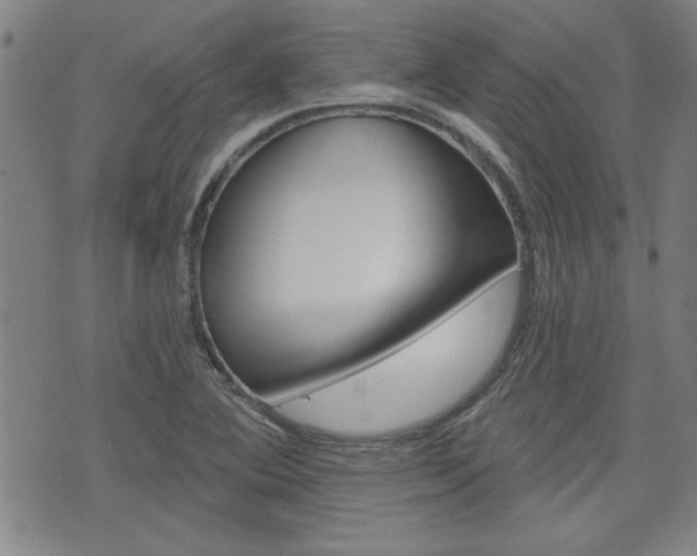 X0000076241364200609280912